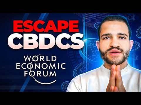 Best Countries to Escape CBDCs: Cash Friendly