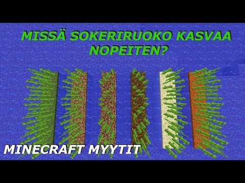 Video: Miltä sokeriruokokasvi näyttää?