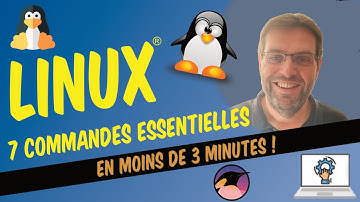 Linux® : 7 commandes essentielles (pour les fichiers)