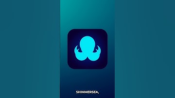 Shimmersea in 60 Seconds #shimmerevm #shimmerbridge