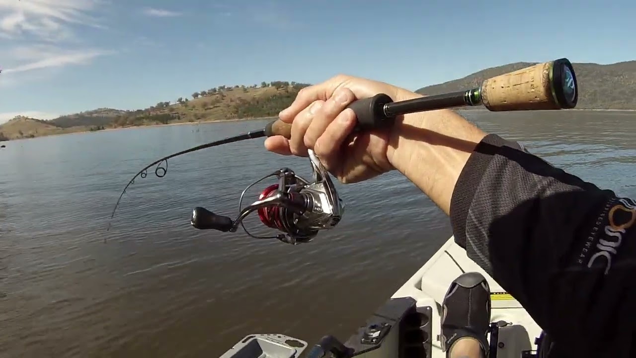 Sunday Morning Chasing Natives!