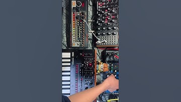 ANALOG SYNTH JAM by #moogsubharmonicon #korgmonologue #rolandtr8