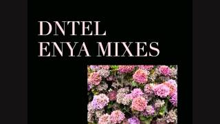 Dntel - A Day Without Rain (Enya Mixes)