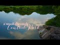 a stroll through Central Park - ambient sound