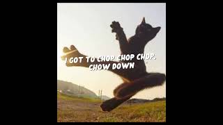 Download Mp3 Hopping on the trend #ninjacat #cat #ninja #plssubscribe Gudang lagu Download Mp3 Hopping on the trend #ninjacat #cat #ninja #plssubscribe