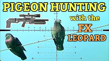 Extreme Pigeon Hunting with FX Leopard | Modern PCP Air Rifle Pest Control 2025