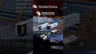 Ferrofish SFP options make it easy to adapt your MADI interface to any studio or live production.