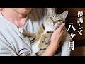 大切なお知らせがあります。