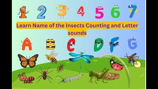 Insects Counting Song| Name of the Insects Learn Through Games