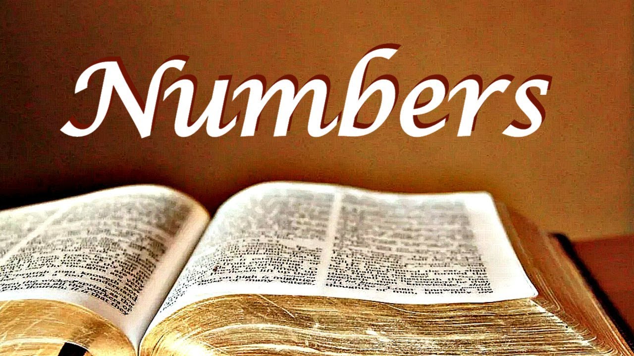 bible-project-numbers
