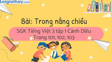 Bài: Trong nắng chiều trang 101, 102, 103 SGK Tiếng Việt 3 tập 1 Cánh diều