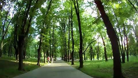 ffmpeg video_track_timescale + itsscale