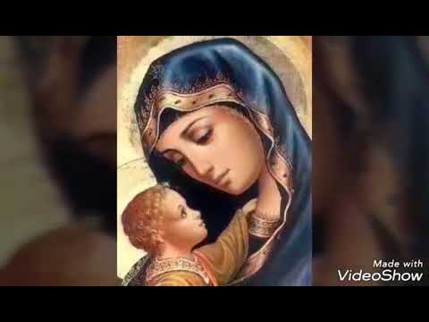 ლექსს კითხულობს ავტორი მარი თაბაგარი