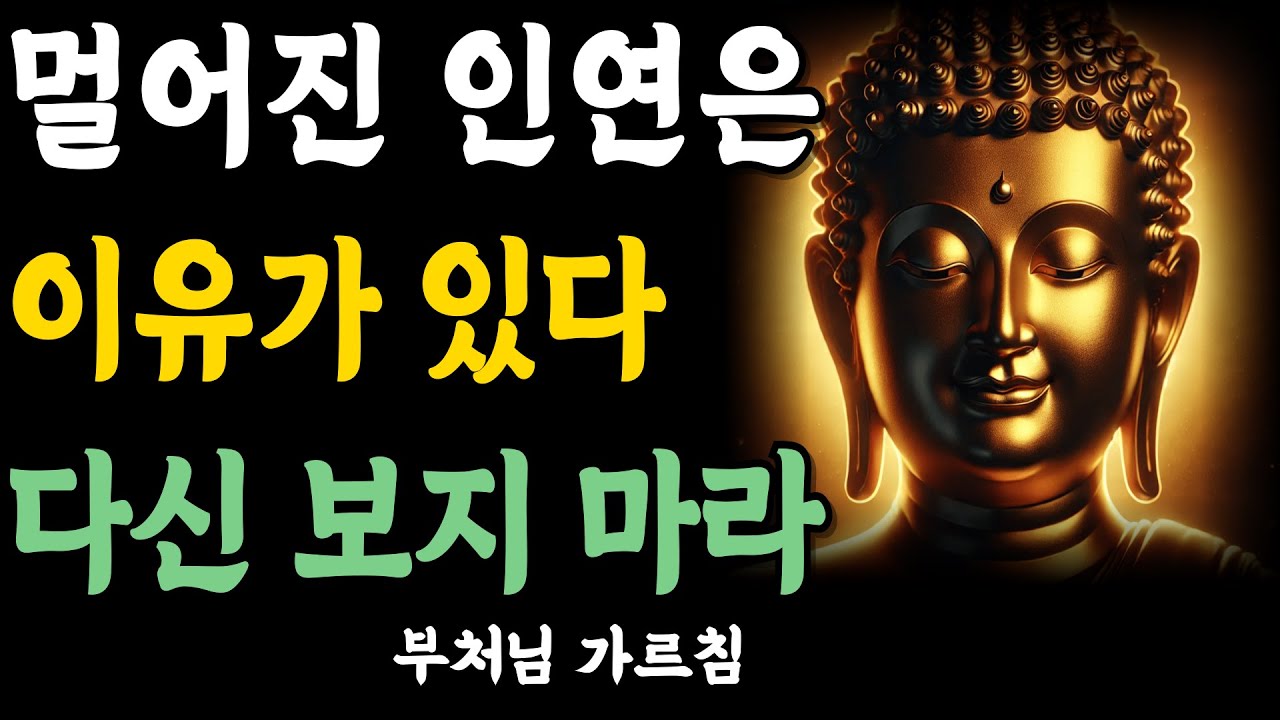 멀어진 인연에는 다 이유가 있다 | 다시 찾지 마라 | 자면서 듣는 부처님 말씀 | 석가모니 | 불교 명언 | 불교 오디오북