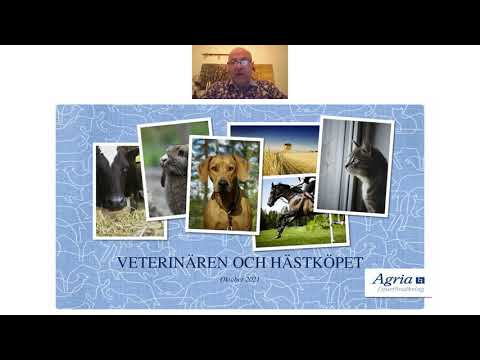 Video: Varför är det viktigt att köa?