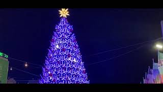 Bella Rose - Keep Wishing For A Star Official Teaser 1