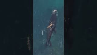 Sea Lion High Five