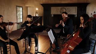 Perfect - Ed Sheeran & Beyonce - Project String Quartet