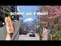 Останній влог з Японіі 🇯🇵🗻 Фуджи, гарні вулиці та парки Токіо, повернення додому через Вʼєтнам