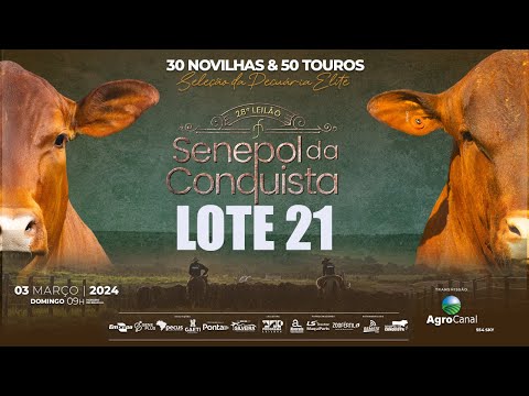 LOTE 21 CONQ 2627