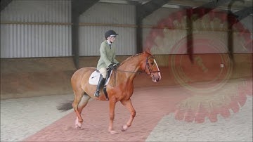 Introductory C dressage test