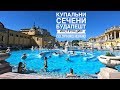 2019. Будапешт: Купальни Сечени. Инструкция по применению (Budapest: Szechenyi thermal baths)