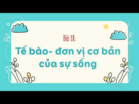 Video: Đơn vị cơ bản của tất cả các sinh vật là gì?