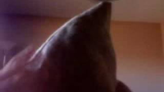 Re: Turtle Race: Episode 5