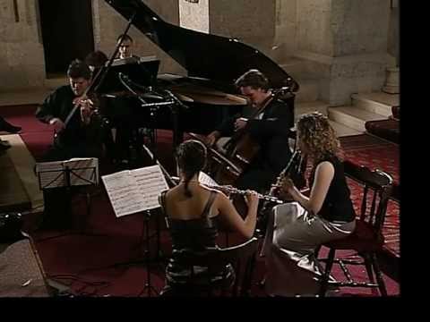 Schoenberg/Webern: Kammersymphonie op.9 ⎪ Braunstein, Brill, Schwarzman, Maninger, Aner