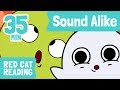 Sound Alike | Compilation 35min | Similar Sounds | How to Read | Made by Red Cat Reading