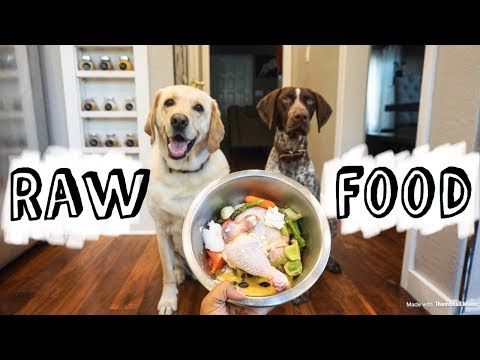 raw-food-diet-for-dogs