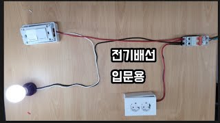 전기배선 콘센트 형광등 스위치 [배선입문용]