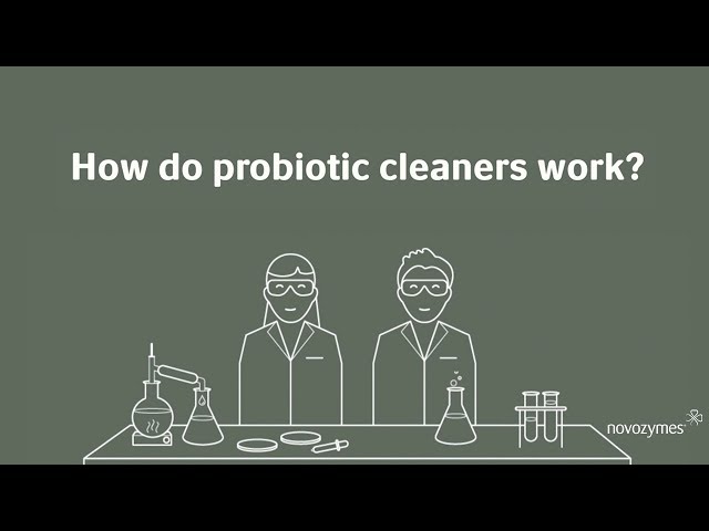 Probiotic Cleaners: What Are They, How to Use Them & Do They Work?