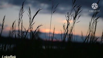 001 - Surah Al fatiha - Ahmed Al trabulsi سورة الفاتحة - احمد الطرابلسي