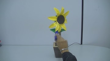 Girassol Seguidor de Luz com Arduino