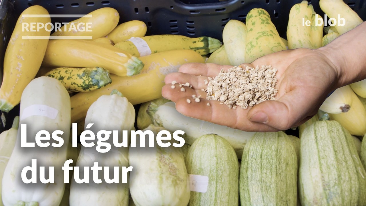 Nos légumes vont-ils disparaître ? La quête des graines du futur | Reportage