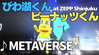 METAVERSE / びわ湖くん feat.ピーナッツくん (Zepp Shinjuku, 2026.05