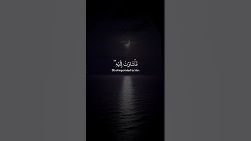 فأتت به قومها تحمله #سورة_مريم #القارئ_شريف_مصطفى #اجر_لي_ولكم