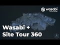 Wasabi + Site Tour 360 | Wasabi
