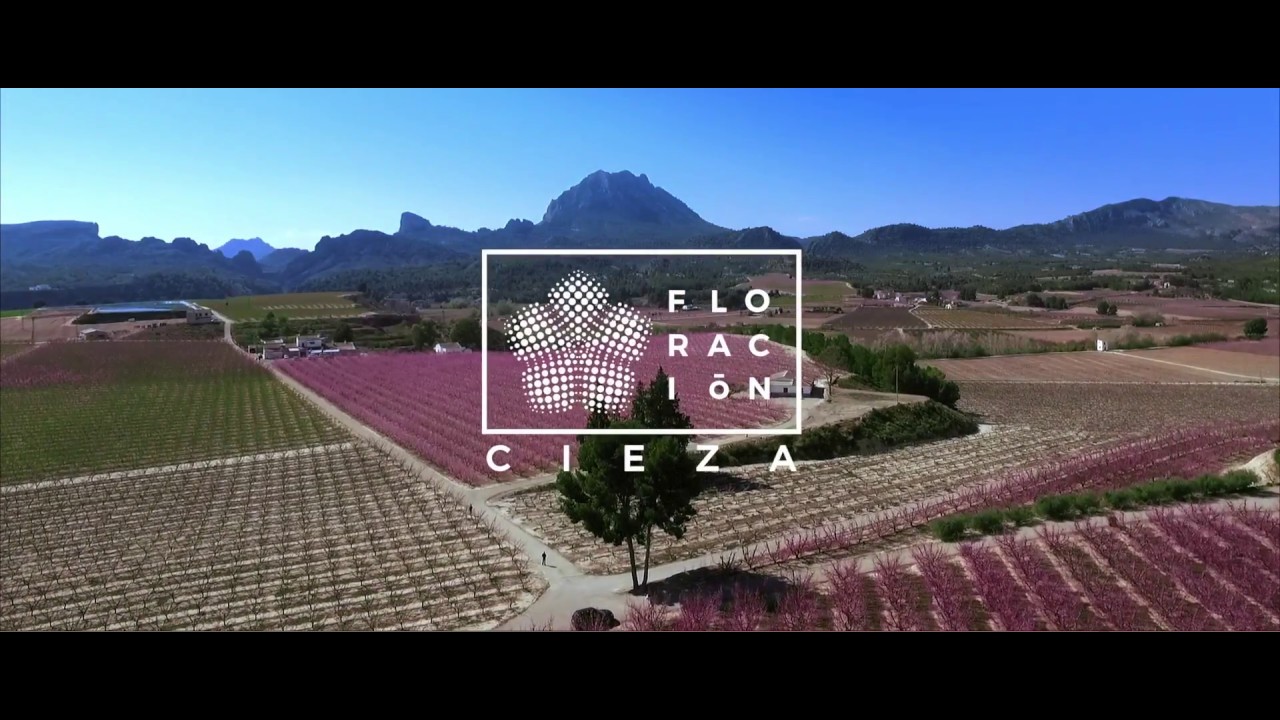 Floración de Cieza marketing strategy