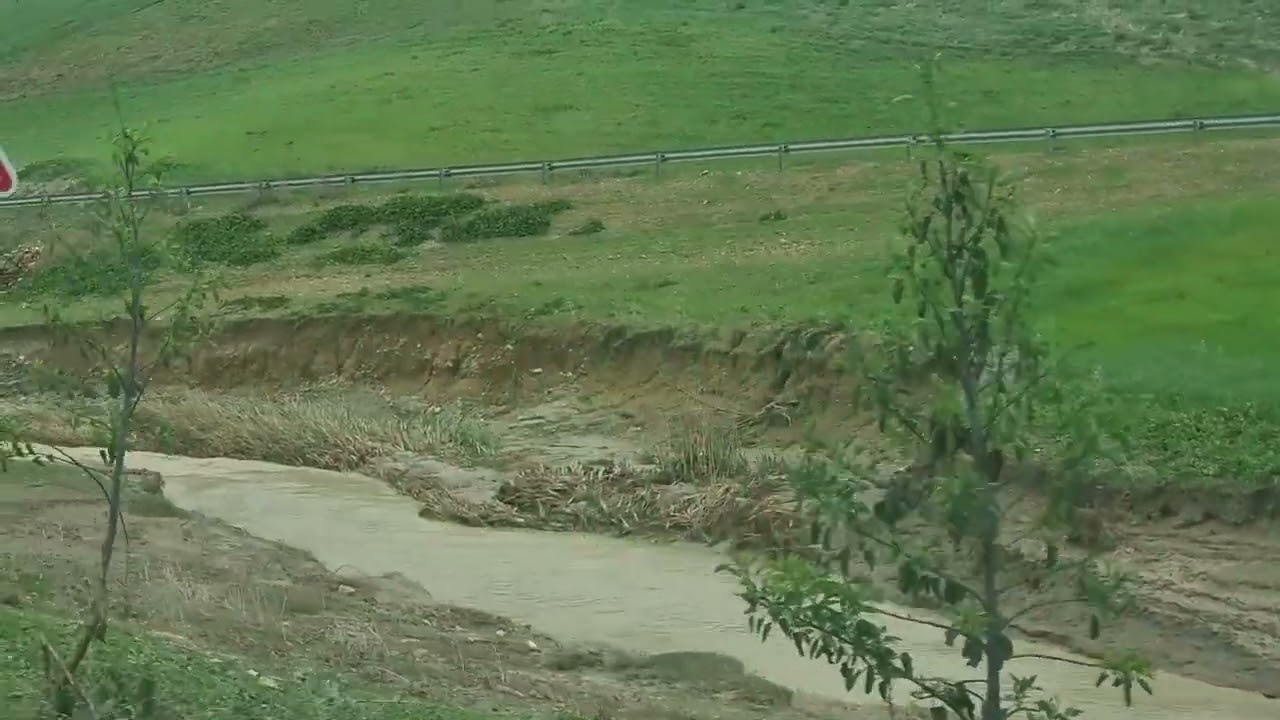 SIDI KACEM 5 fevrier 2026