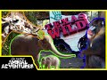 TOURING THE FORT WORTH ZOO! (Texas Wild!, World of Primates, Elephant Springs, and more!) Part 1