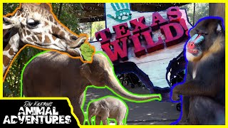 TOURING THE FORT WORTH ZOO! (Texas Wild!, World of Primates, Elephant Springs, and more!) Part 1