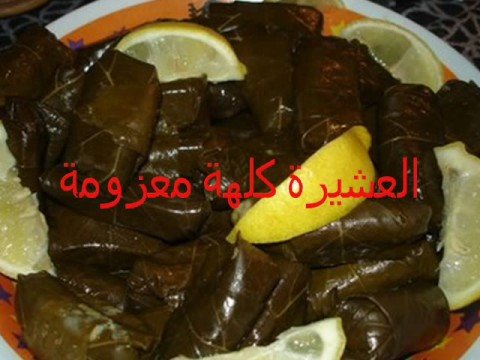 اكلات عراقية لبنانية - دولمة - جننتينا  Dolma