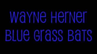 Blue Grass Bats.avi