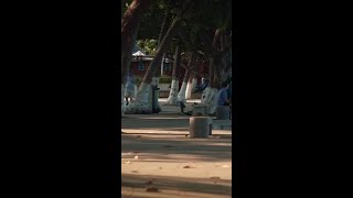 Минута стыда ради музыки и веселья! 🎤✨