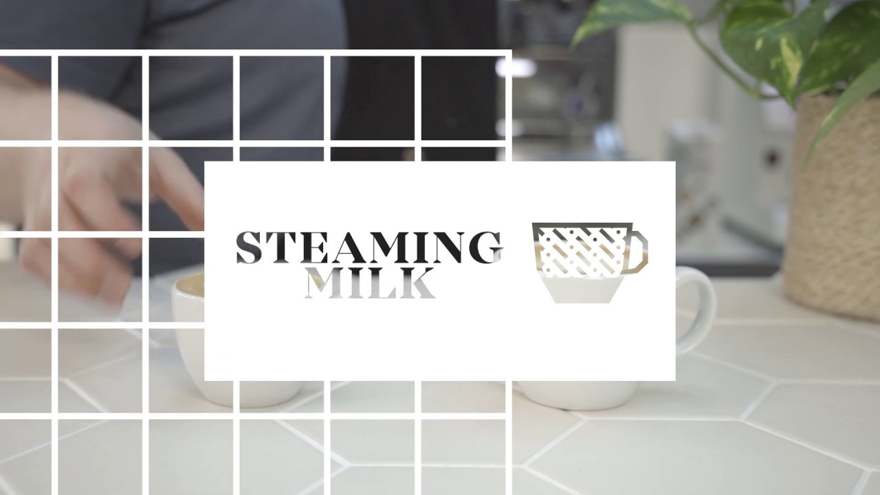 5 Steps How to Steam the Perfect Barista Style Milk