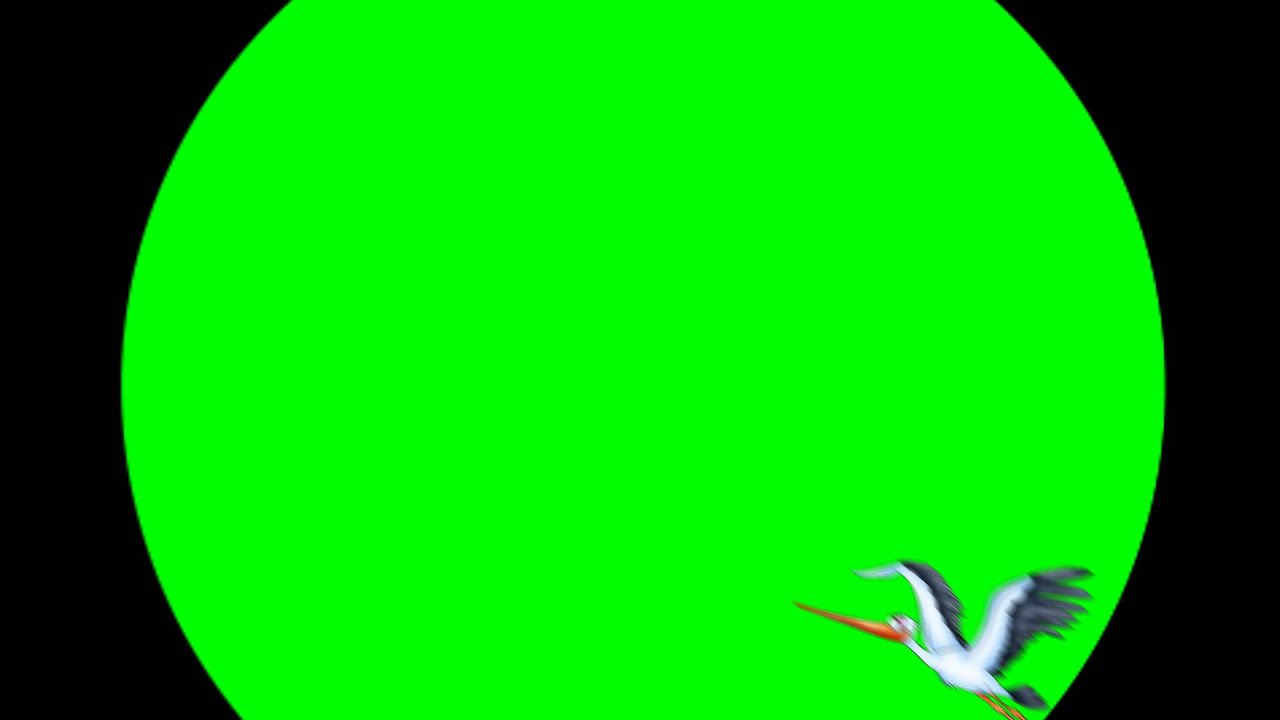 futazh-dlya-videomontazha-aist