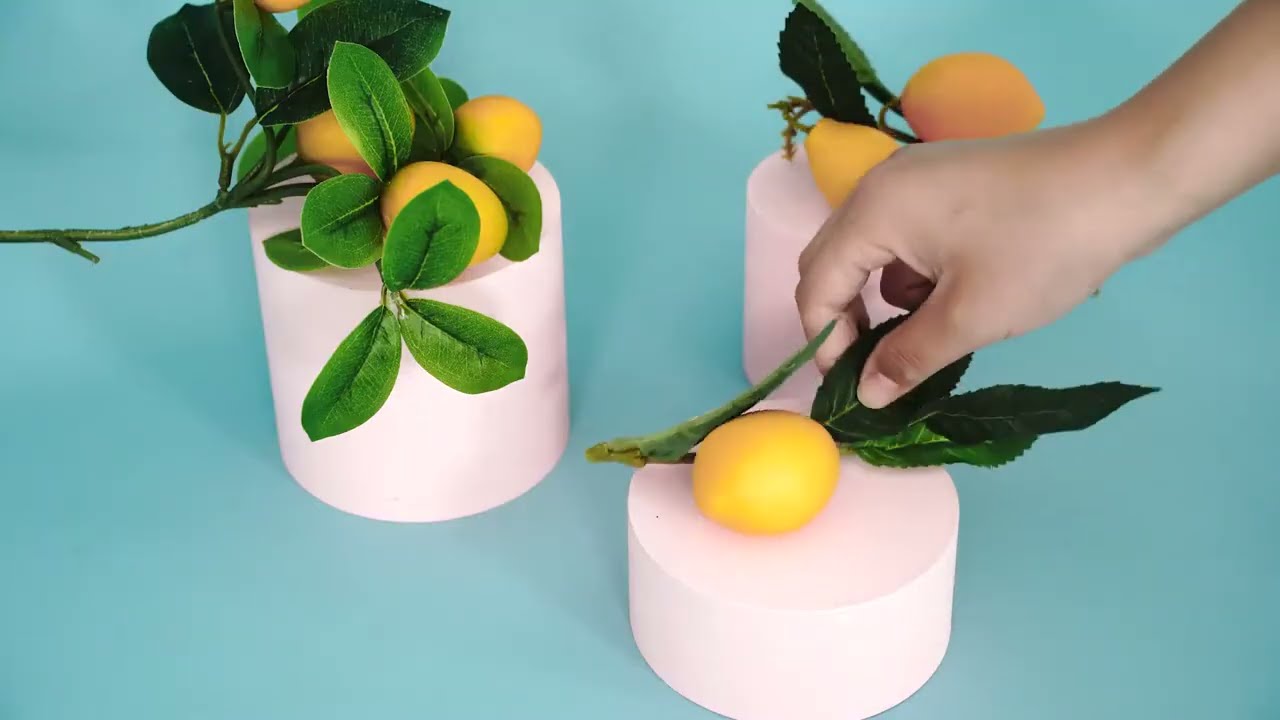 Kate Seamless Paper Backdrop for Photography