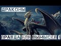 WTF #2 - Драконы, правда или вымысел ?